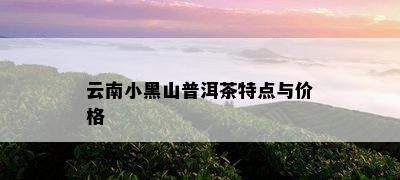 云南小黑山普洱茶特点与价格