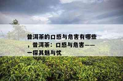 普洱茶的口感与危害有哪些，普洱茶：口感与危害——一探其魅与忧