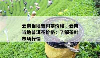 云南当地普洱茶价格，云南当地普洱茶价格：了解茶叶市场行情