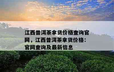 江西普洱茶拿货价格查询官网，江西普洱茶拿货价格：官网查询及最新信息