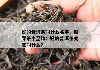 好的普洱茶叫什么名字，探寻茶中至臻：好的普洱茶究竟叫什么？