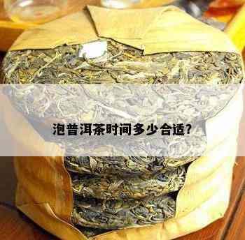 泡普洱茶时间多少合适？