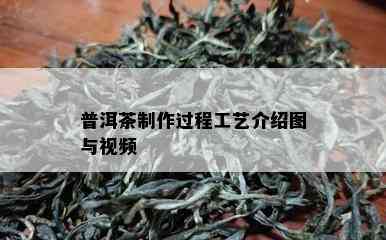 普洱茶制作过程工艺介绍图与视频