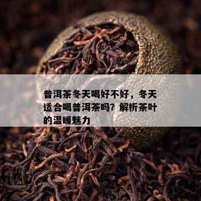 普洱茶冬天喝好不好，冬天适合喝普洱茶吗？解析茶叶的温暖魅力