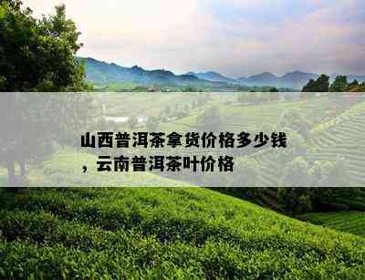 山西普洱茶拿货价格多少钱，云南普洱茶叶价格