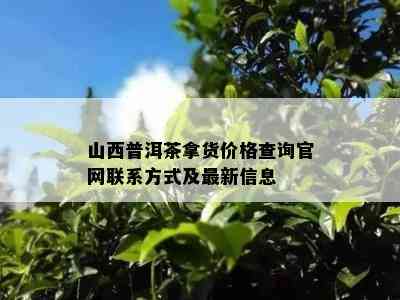 山西普洱茶拿货价格查询官网联系方式及最新信息