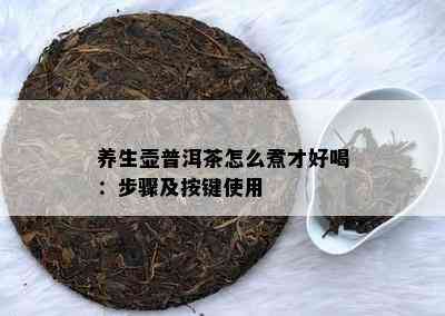 养生壶普洱茶怎么煮才好喝：步骤及按键使用