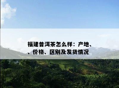 福建普洱茶怎么样：产地、、价格、区别及发货情况