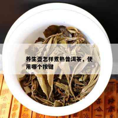 养生壶怎样煮熟普洱茶，使用哪个按键