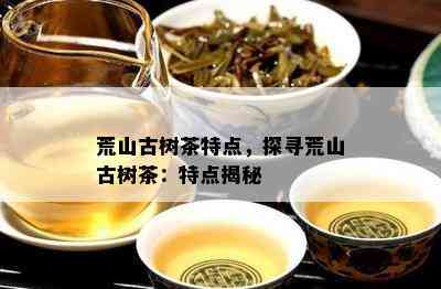 荒山古树茶特点，探寻荒山古树茶：特点揭秘