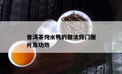 普洱茶炖水鸭的做法窍门图片及功效