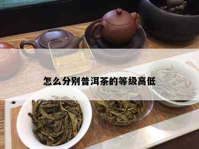 怎么分别普洱茶的等级高低