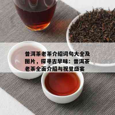 普洱茶老茶介绍词句大全及图片，探寻古早味：普洱茶老茶全面介绍与视觉盛宴