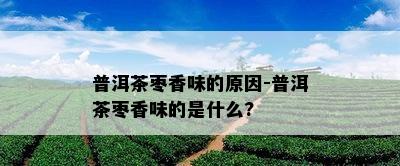 普洱茶枣香味的原因-普洱茶枣香味的是什么?