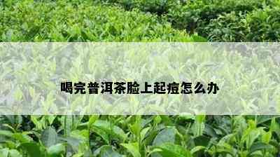 喝完普洱茶脸上起痘怎么办