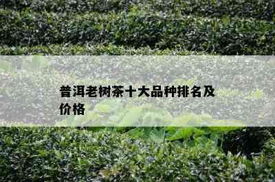 普洱老树茶十大品种排名及价格