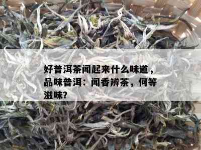 好普洱茶闻起来什么味道，品味普洱：闻香辨茶，何等滋味？