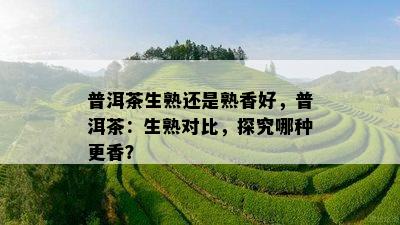 普洱茶生熟还是熟香好，普洱茶：生熟对比，探究哪种更香？