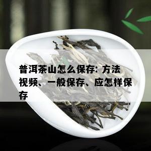 普洱茶山怎么保存: 方法视频、一般保存、应怎样保存