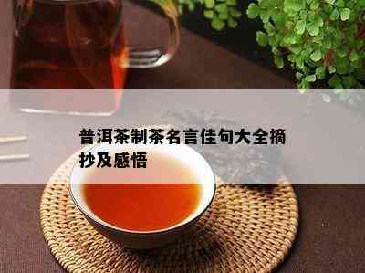 普洱茶制茶名言佳句大全摘抄及感悟