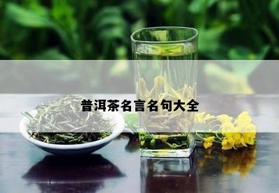 普洱茶名言名句大全