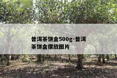 普洱茶饼盒500g-普洱茶饼盒摆放图片