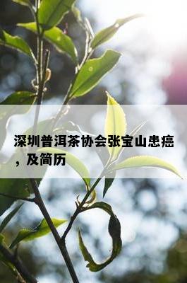 深圳普洱茶协会张宝山患癌，及简历