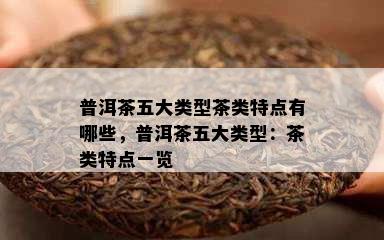 普洱茶五大类型茶类特点有哪些，普洱茶五大类型：茶类特点一览