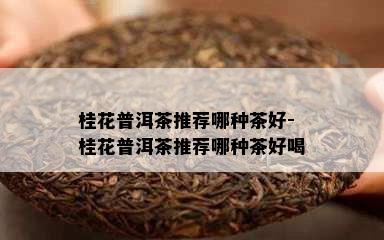 桂花普洱茶推荐哪种茶好-桂花普洱茶推荐哪种茶好喝