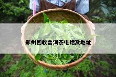 郑州回收普洱茶电话及地址