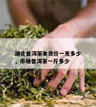 湖北普洱茶拿货价一克多少，市场普洱茶一斤多少