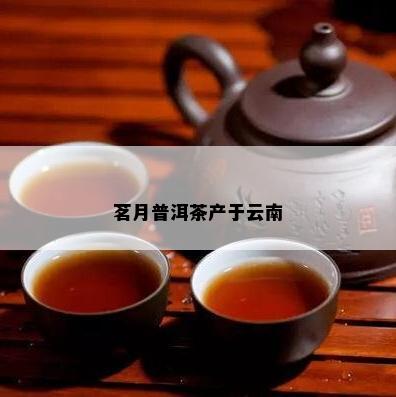 茗月普洱茶产于云南