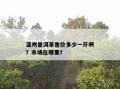 温州普洱茶售价多少一斤啊？市场在哪里？