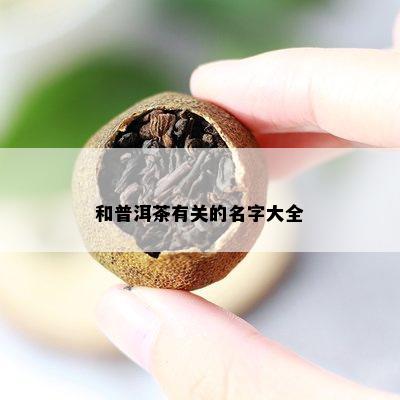 和普洱茶有关的名字大全