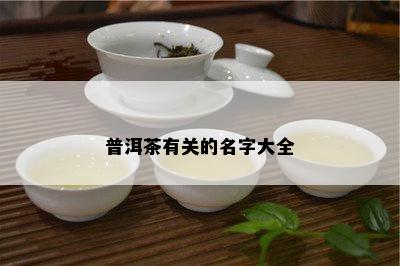 普洱茶有关的名字大全