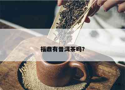 福鼎有普洱茶吗？