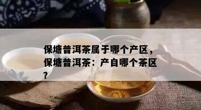 保塘普洱茶属于哪个产区，保塘普洱茶：产自哪个茶区？