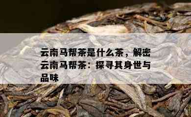 云南马帮茶是什么茶，解密云南马帮茶：探寻其身世与品味