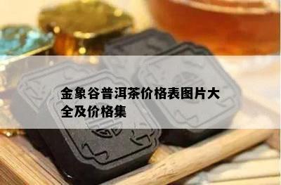 金象谷普洱茶价格表图片大全及价格集