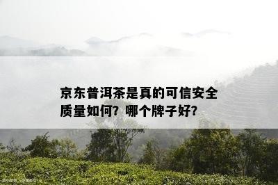 京东普洱茶是真的可信安全质量如何？哪个牌子好？