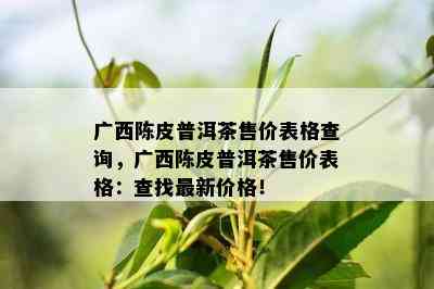 广西陈皮普洱茶售价表格查询，广西陈皮普洱茶售价表格：查找最新价格！