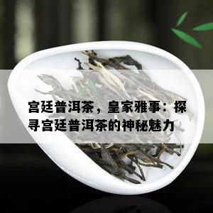 宫廷普洱茶，皇家雅事：探寻宫廷普洱茶的神秘魅力