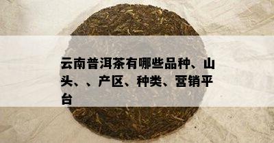 云南普洱茶有哪些品种、山头、、产区、种类、营销平台