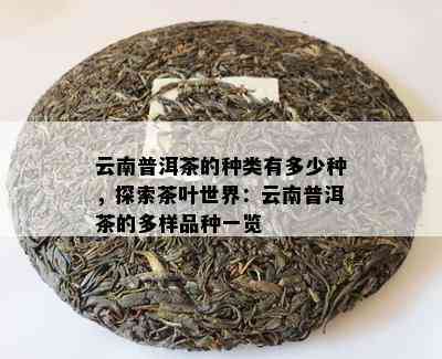 云南普洱茶的种类有多少种，探索茶叶世界：云南普洱茶的多样品种一览