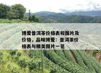 博爱普洱茶价格表和图片及价格，品味博爱：普洱茶价格表与精美图片一览