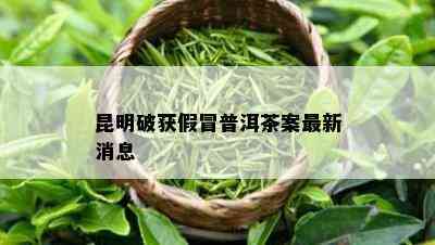 昆明破获假冒普洱茶案最新消息