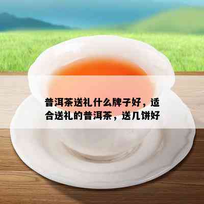 普洱茶送礼什么牌子好，适合送礼的普洱茶，送几饼好