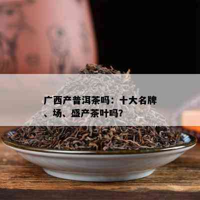 广西产普洱茶吗：十大名牌、场、盛产茶叶吗？