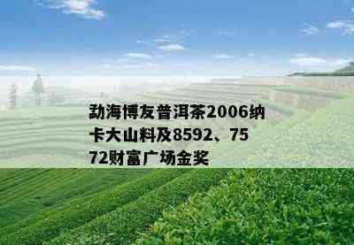 勐海博友普洱茶2006纳卡大山料及8592、7572财富广场金奖