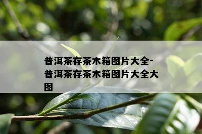 普洱茶存茶木箱图片大全-普洱茶存茶木箱图片大全大图